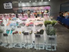 -盒马X会员店(王府井奥莱UP TOWN店)