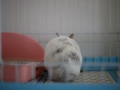 -达爱动物医院·犬猫分区·CT·复杂眼科(远洋山水分院)