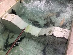 -回头客餐厅·家的味道农家菜·虹鳟鱼·铁锅炖(雁栖湖店)