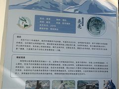 -青藏高原野生动物园