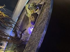 -1718海鲜姿造(苏宁宴请臻选店)