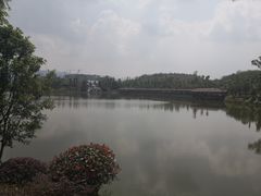 -枫香湖儿童公园