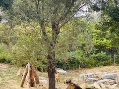 -北京野生动物园