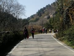 -木兰云雾山
