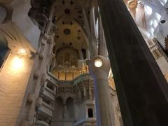 -巴塞罗那主教座堂
