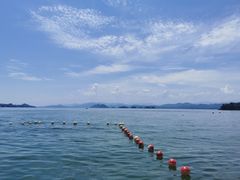 -宝荣鱼馆·临湖之宴(千岛湖店)