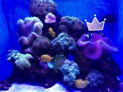 -多彩贵州城极地海洋世界