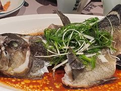 -新兴·金羊座·粤菜点心(乐峰店)