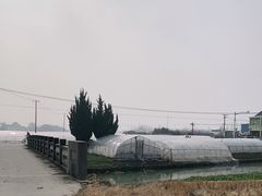 -小鱼草莓采摘园农家乐·小鱼餐厅