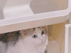 -怪兽屋·羊驼·猫咖·狗咖(俊华广场店)