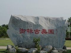 -御林古桑园