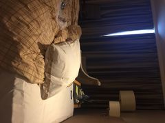 合景福朋喜来登酒店(汇彩路店)-广州天河合景福朋喜来登酒店