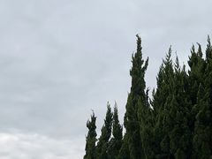 -东庄海岸高尔夫俱乐部