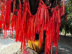 -瑞丽独树成林风景区