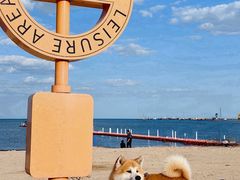 -东戴河风景区-止锚湾