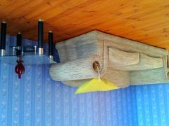 android_upload_pic-金山农民画村-枫泾波兰倒置屋