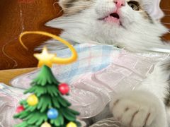 -酷宠动物医院(天通西苑店)