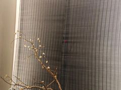 -臻品足道(佛祖岭店)