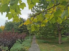 -望湖公园