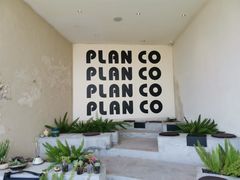 -PLAN CO