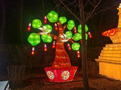 -南宫五洲植物乐园