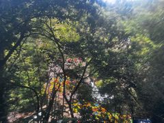 -罗田大别山峡谷漂流