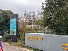 -上海长兴岛郊野公园