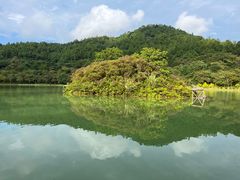 -广州白江湖森林公园