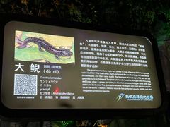 -泉城欧乐堡海洋极地世界