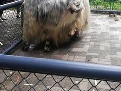 -长白岛森林公园