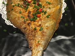 -九府羊·鲜羊火锅·烤串(新华路店)