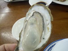 原只蒸生蚝-蚝得喜海鲜(东城店)