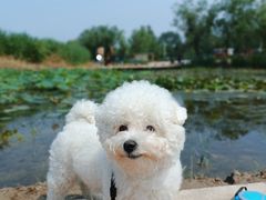 -绿堤公园