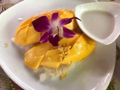 -Jungle Kitchen