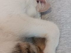 -转山咖啡(松柏社区店)