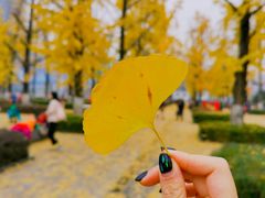 -百林公园-两江幸福广场