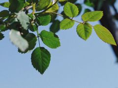 -楠溪江风景名胜区