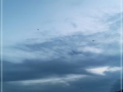 -黄金海岸环岛路