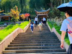 -宁波浙东大竹海景区