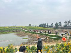 -三圣花乡旅游区