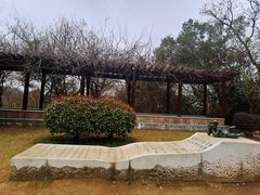 -敬亭山风景名胜区