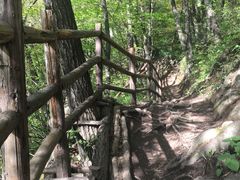 -王顺山国家森林公园