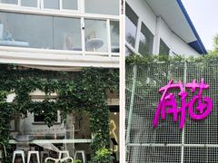 -有猫主题·治愈系猫咖(曾厝垵店)