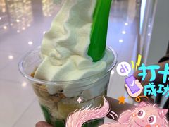 -Salud撒露欧洲冻酸奶(蓝色港湾店)