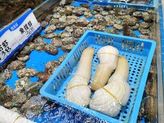 -悦来轩顺德菜(寮厦店)