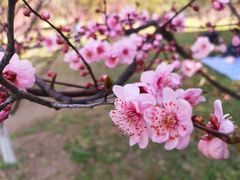 -共青国家森林公园-售票处