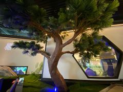 -绿茶餐厅(成都大悦城店)