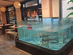 -龙师傅卤炒(天马店)