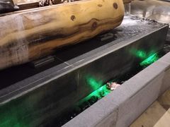 -沐泷泉(南风大剧院店)