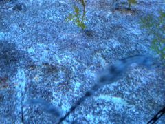 -上海海洋水族馆